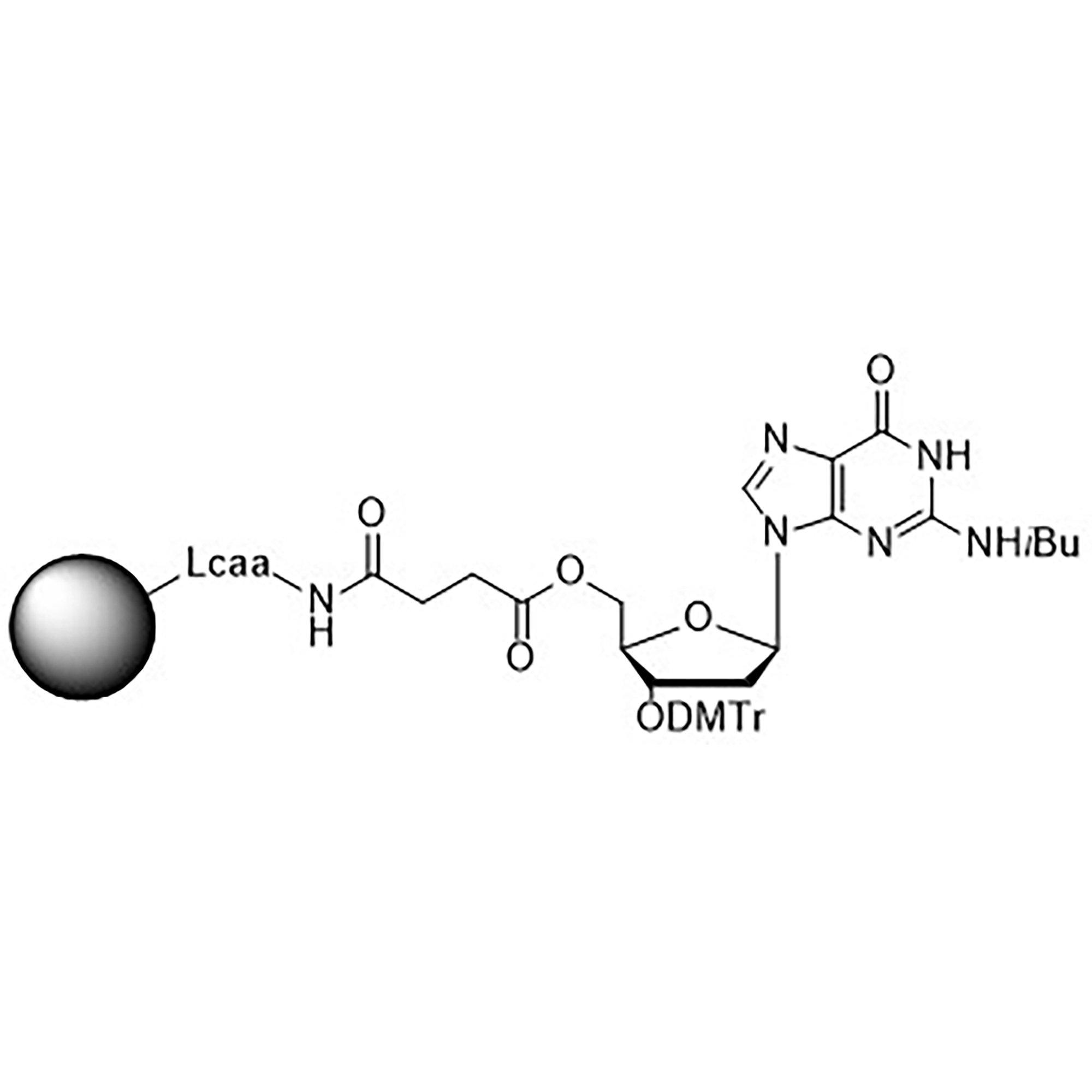 3'-DMT-dG (iBu)-Suc-CPG Column