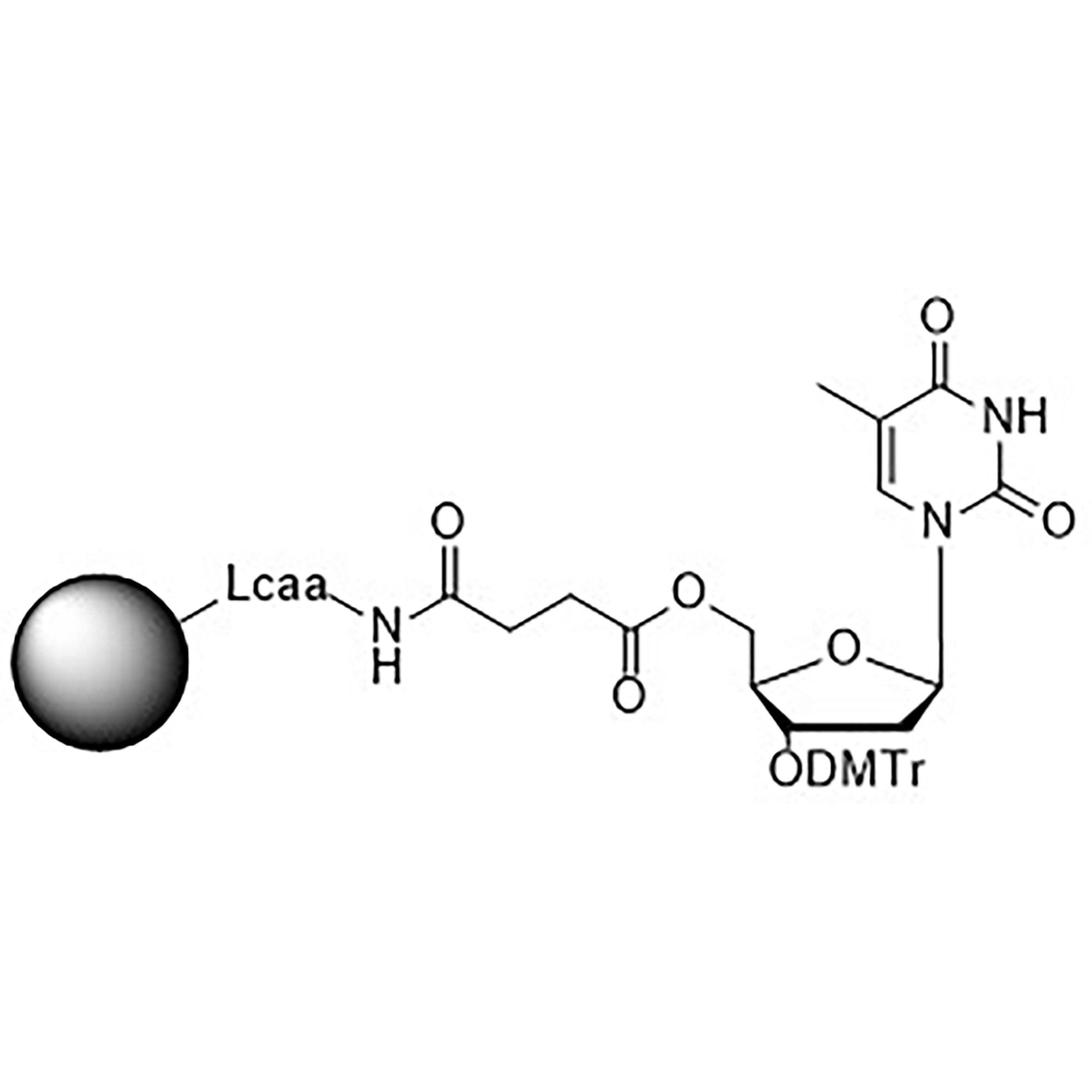 3'-DMT-T-Suc-CPG Column