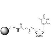 3'-DMT-T-Suc-CPG Column