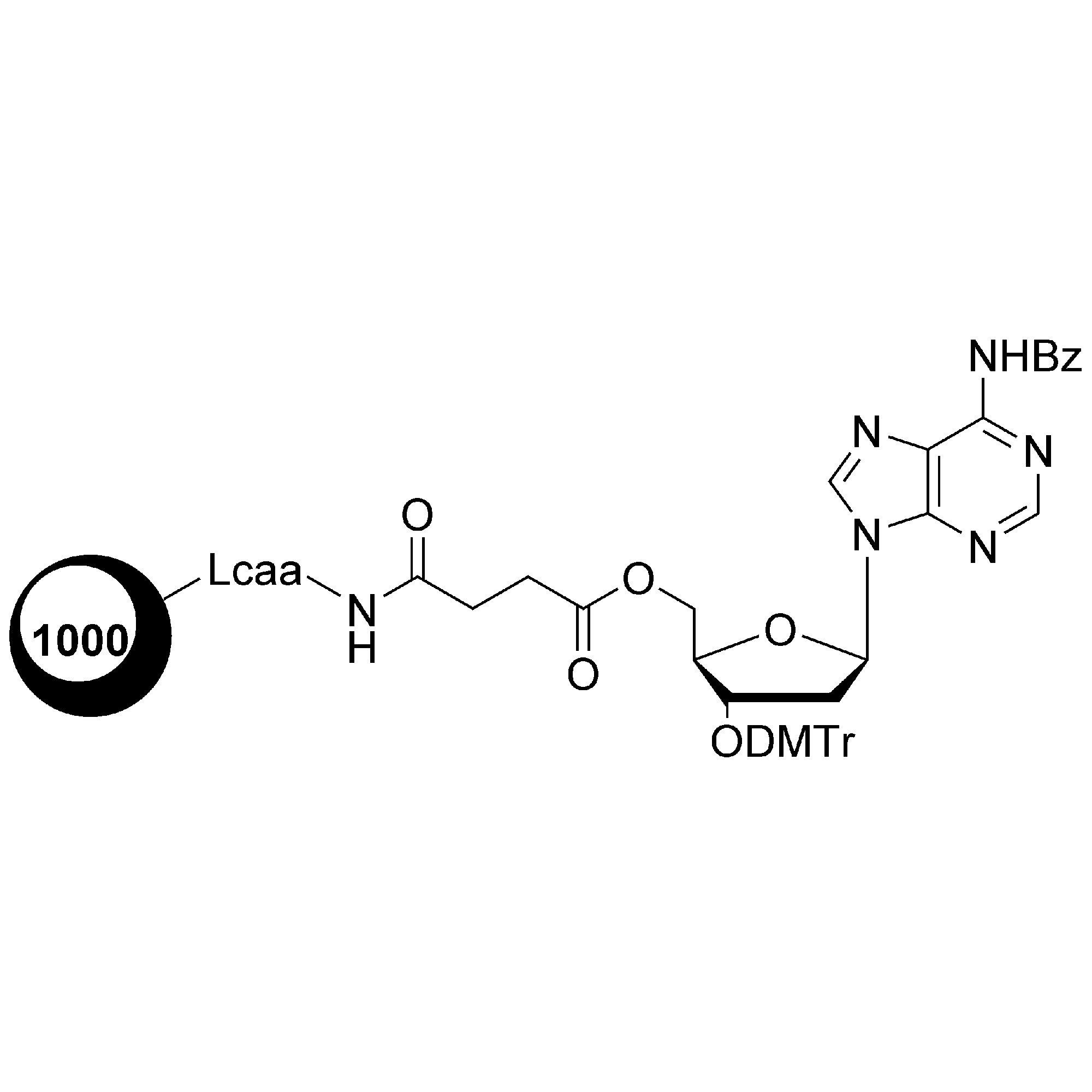 dA (Bz)-5'-CPG Column