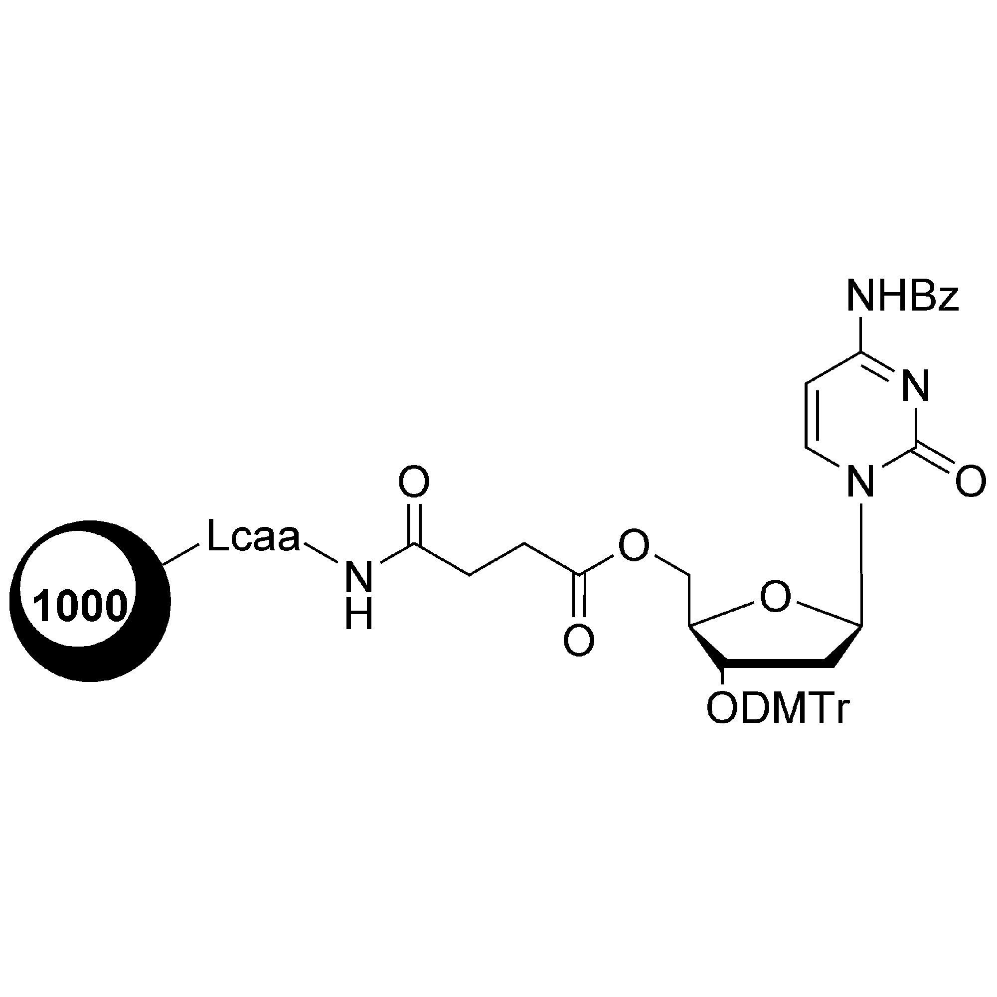 dC (Bz)-5' CPG Column
