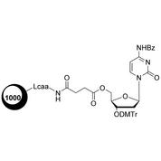 dC (Bz)-5' CPG Column