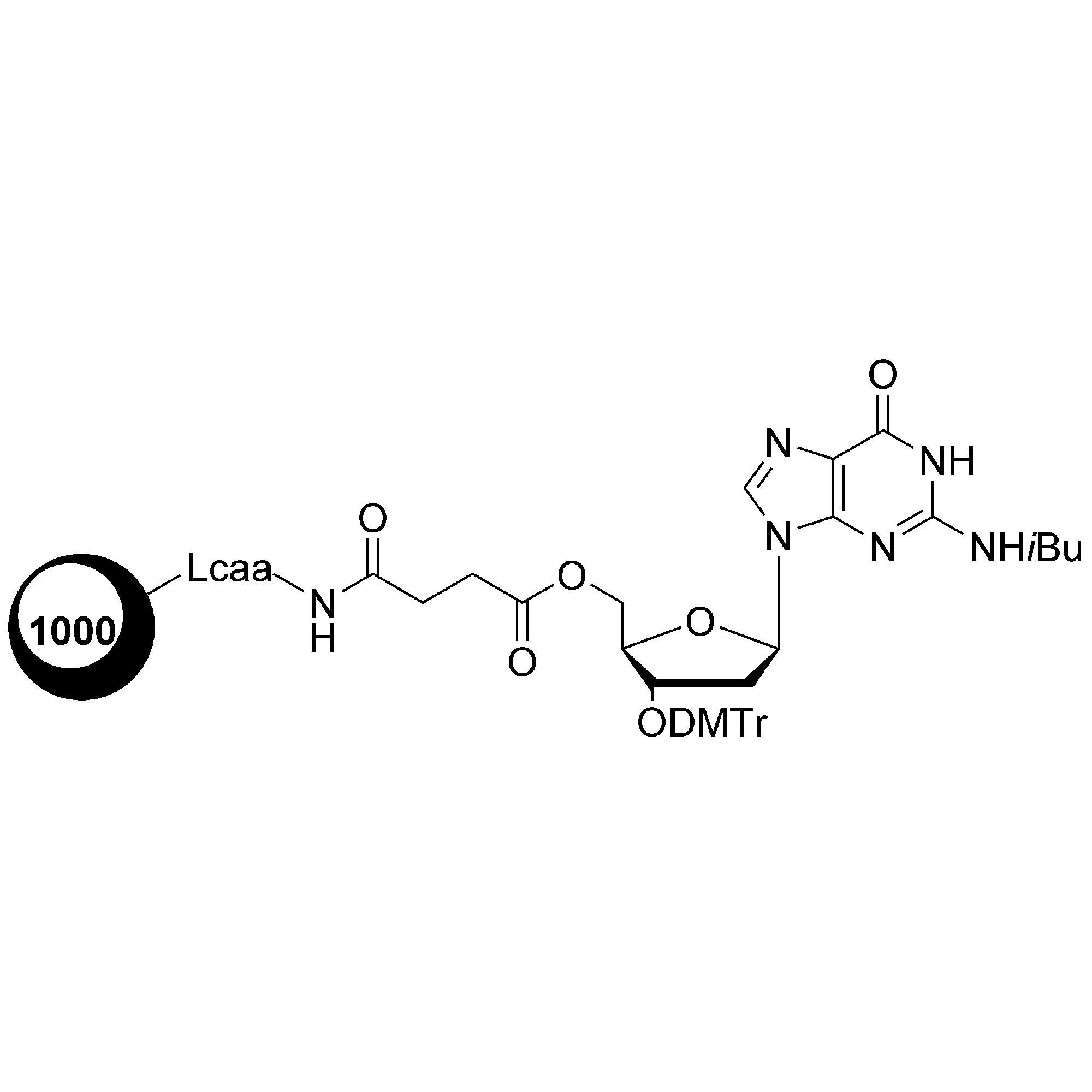 dG (iBu)-5' CPG Column