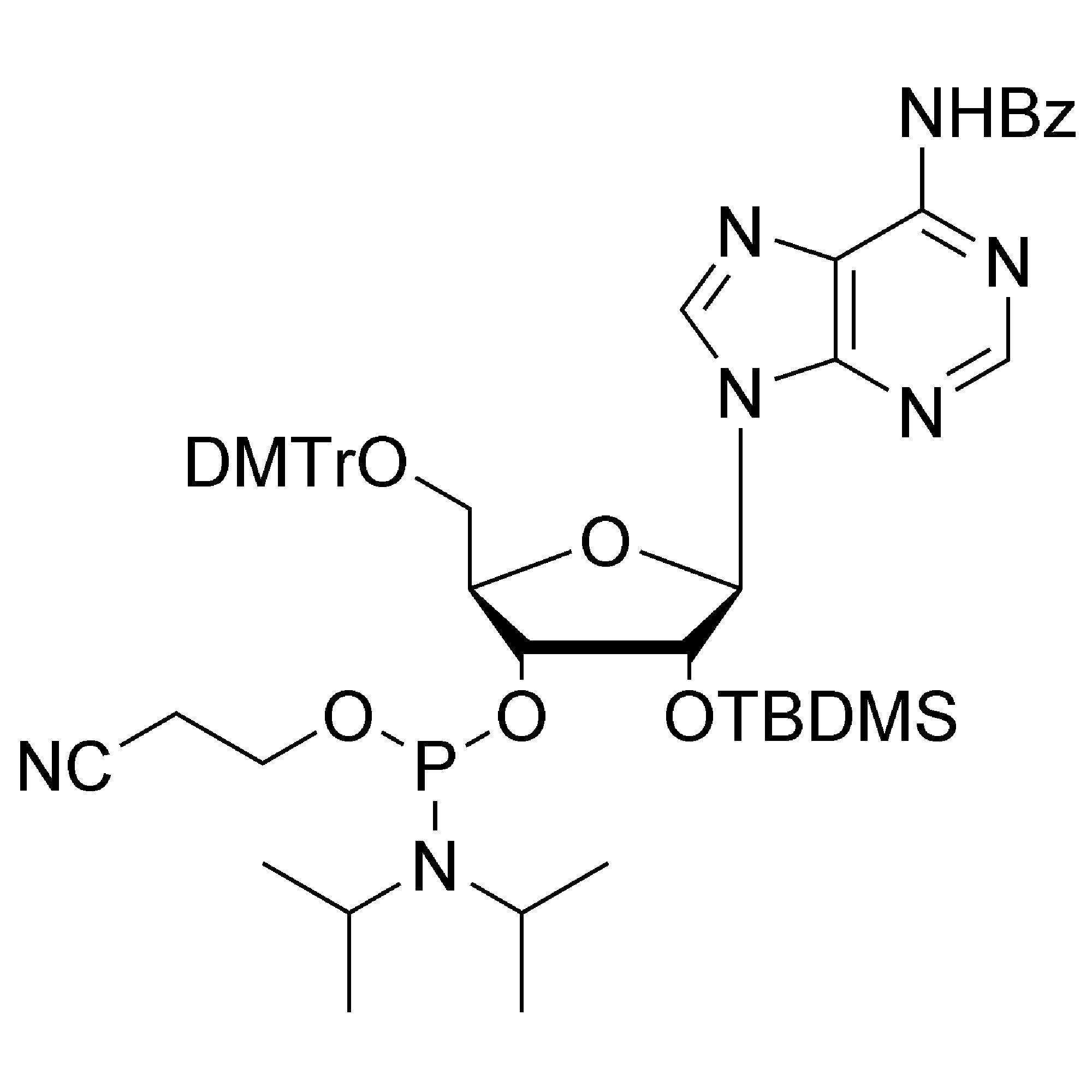 rA (Bz) CE-Phosphoramidite