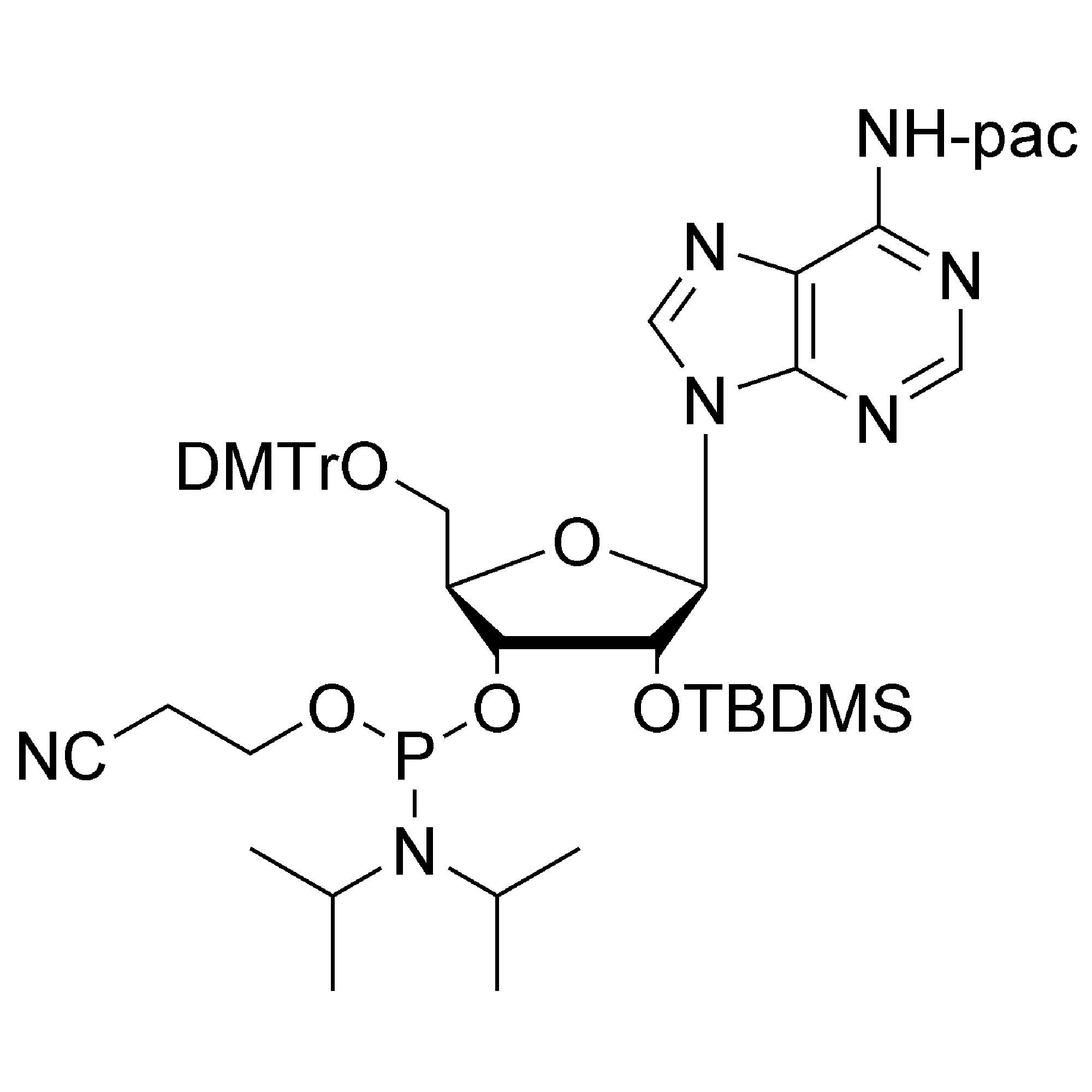 rA (Pac) CE-Phosphoramidite