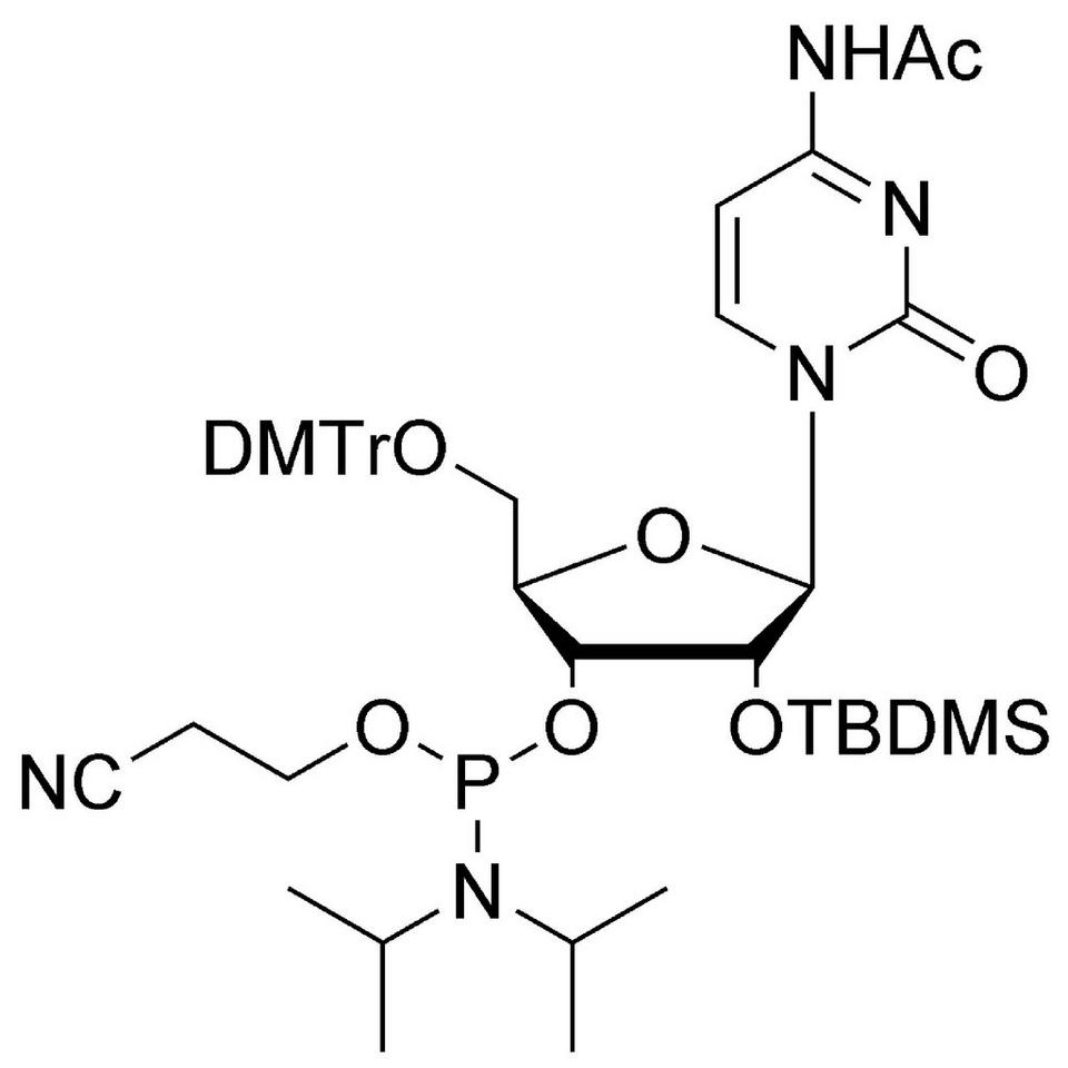 rC (Ac) CE-Phosphoramidite, 1 g, ABI (60 mL / 20 mm Septum)