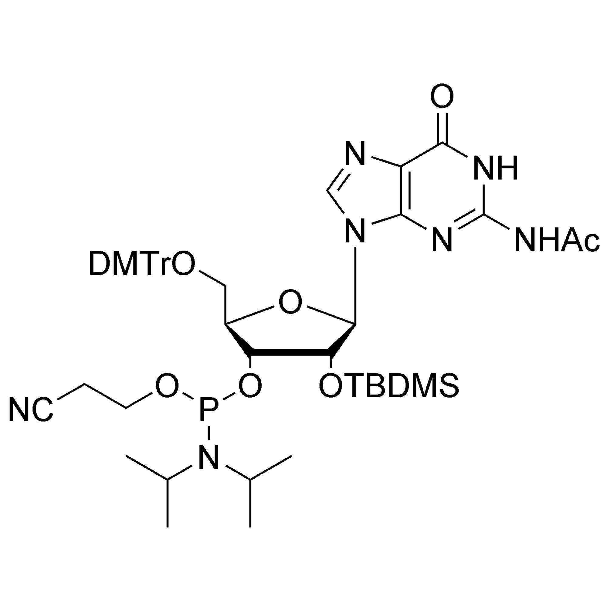 rG (Ac) CE-Phosphoramidite