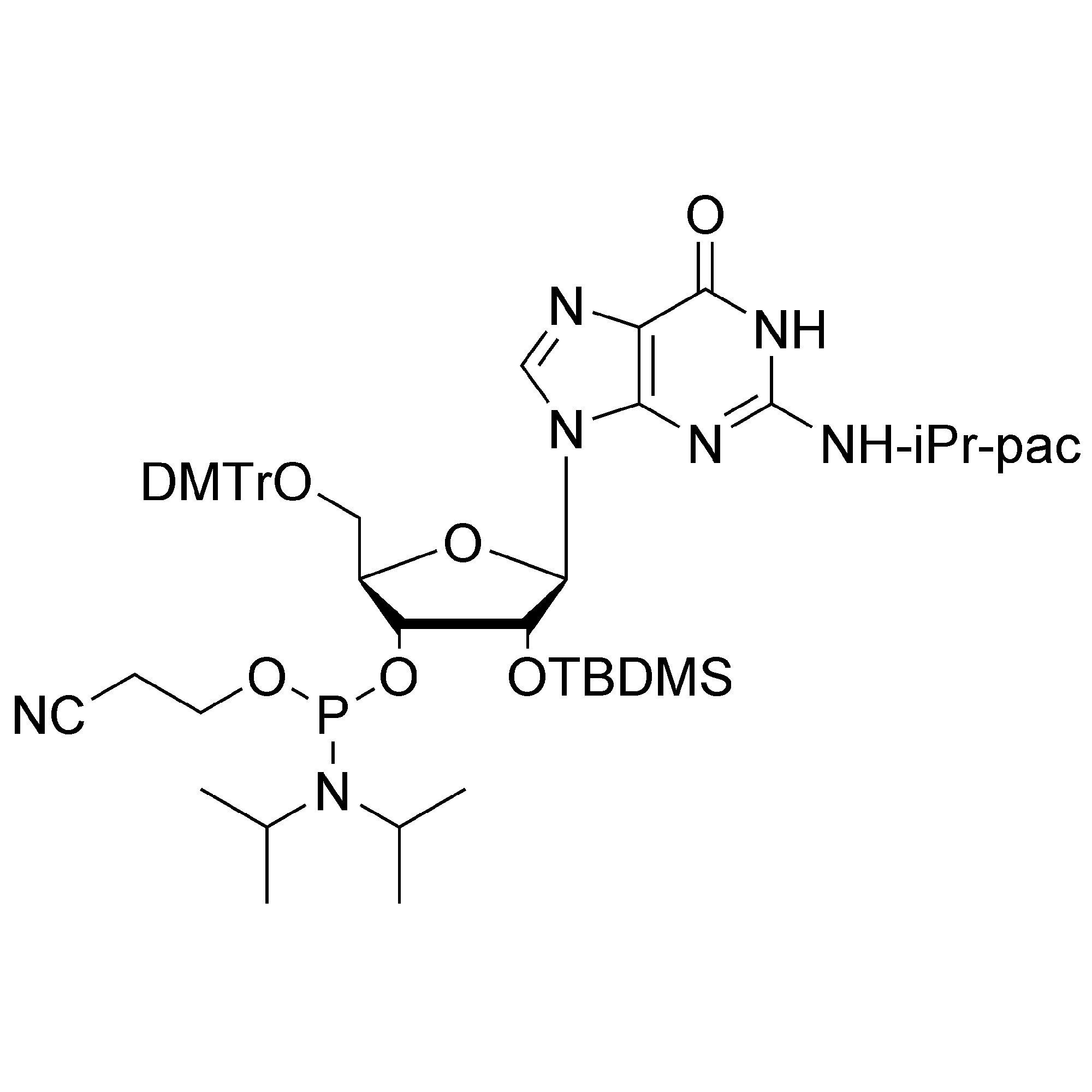 rG (iPr-Pac) CE-Phosphoramidite