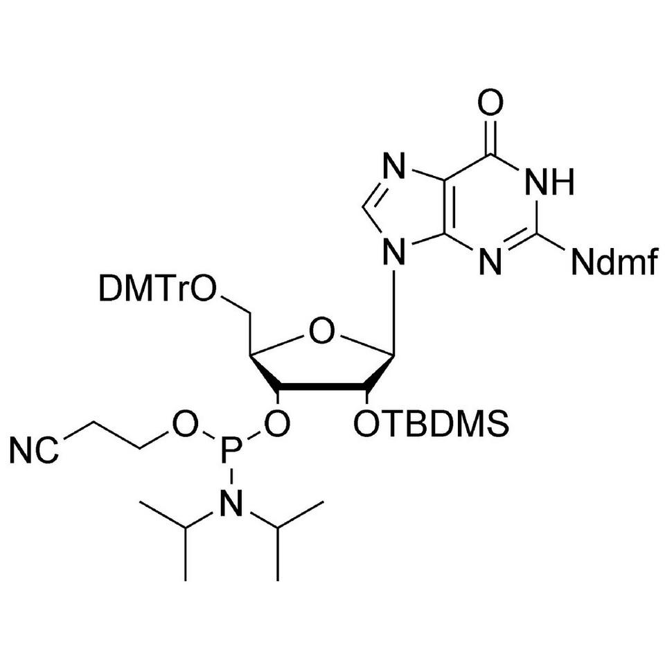 rG (dmf) CE-Phosphoramidite, 1 g, MerMade (30 mL / 28-400)