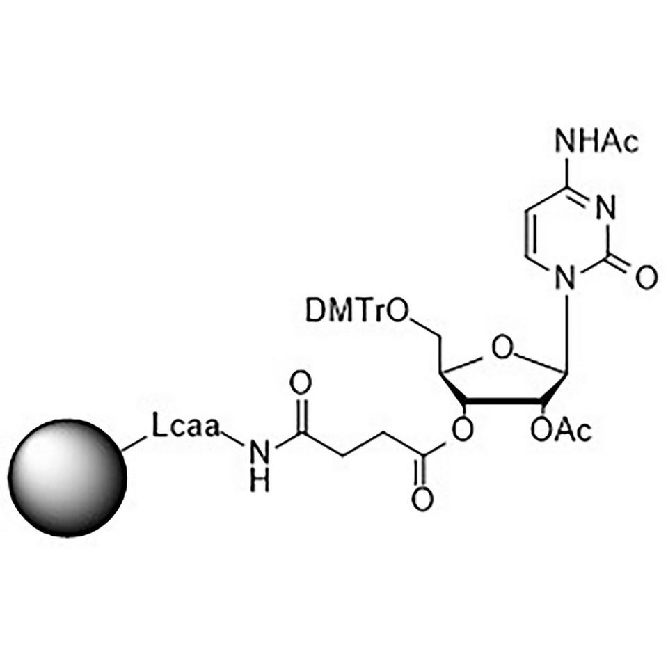 5'-DMT-rC (Ac)-Suc-CPG Column