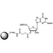 5'-DMT-rG (dmf)-Suc CPG Column