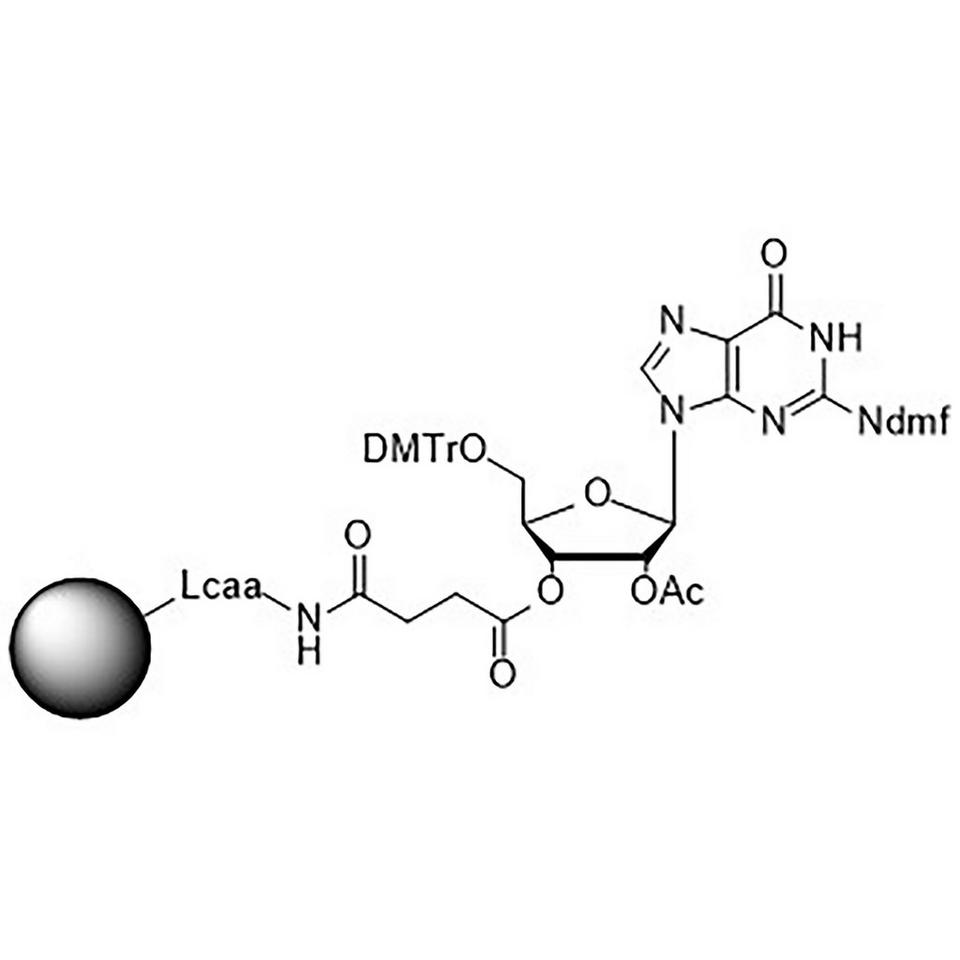 5'-DMT-rG (dmf)-Suc CPG Column