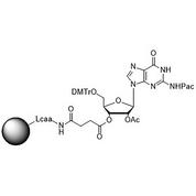 5'-DMT-rG (Pac)-Suc CPG Column