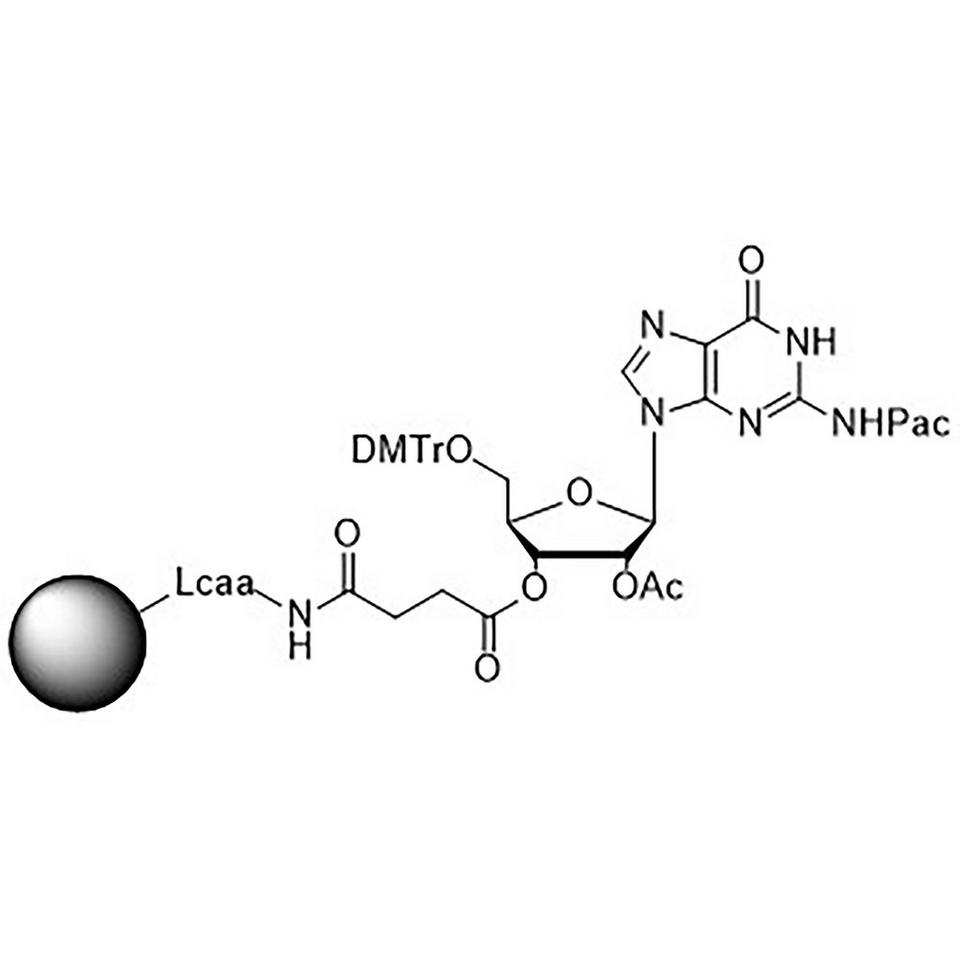 5'-DMT-rG (Pac)-Suc CPG Column
