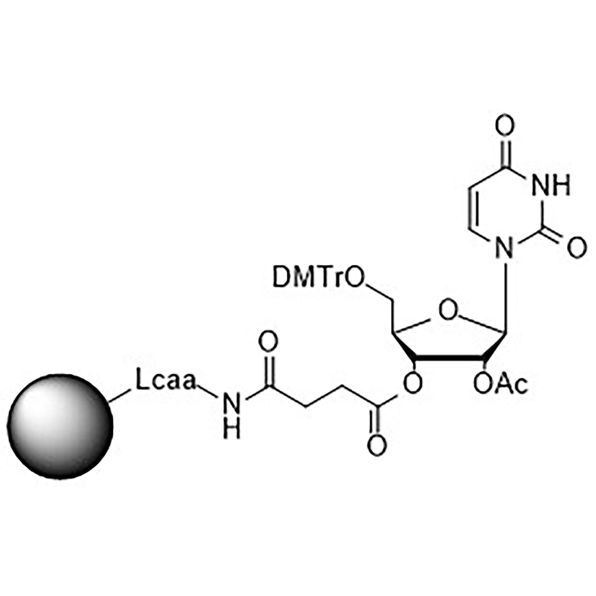5'-DMT-U-Suc CPG Column