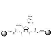 rC (Ac) CPG Column