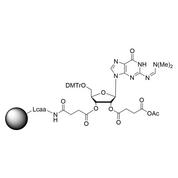 rG (dmf) CPG Column