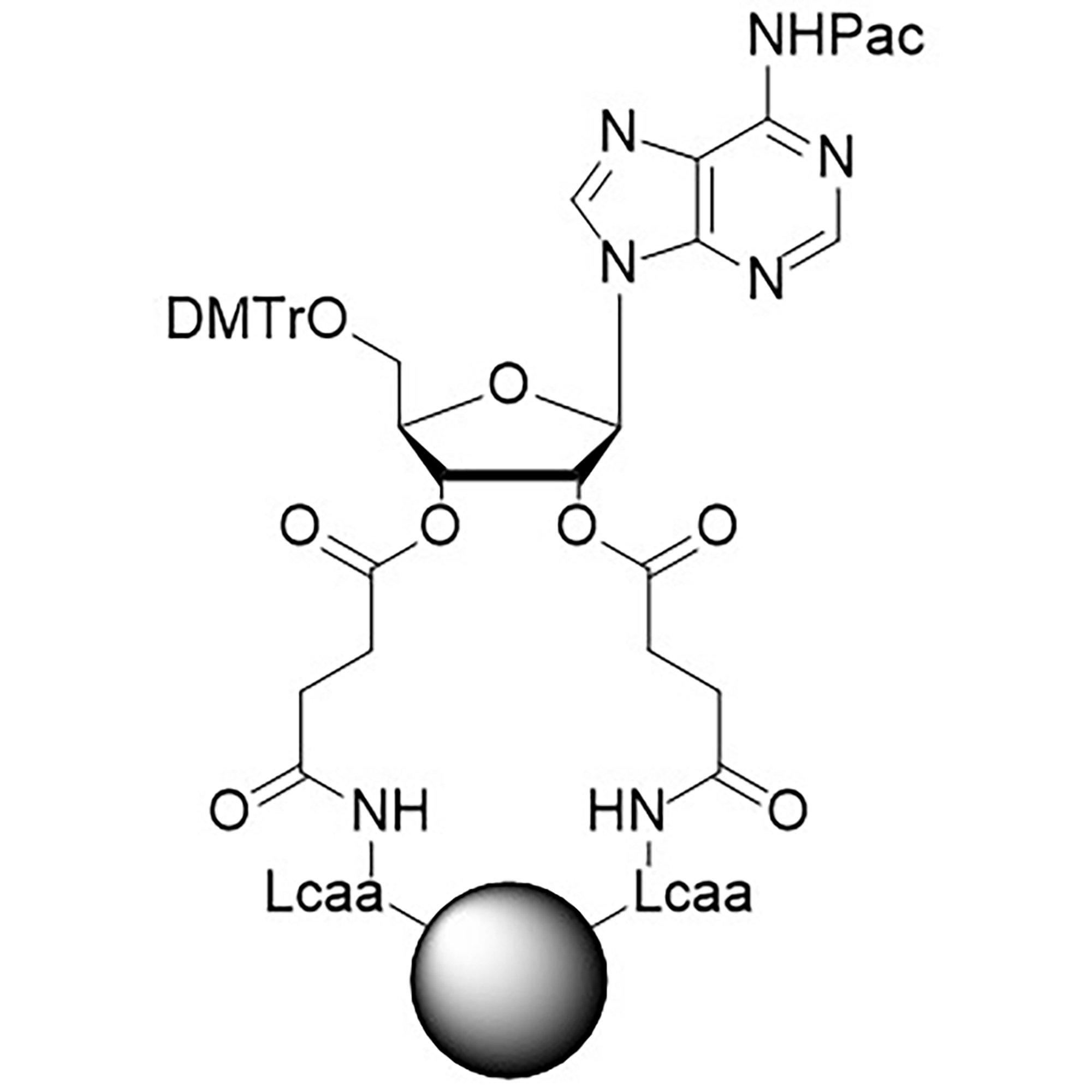 rA (Pac) CPG Column