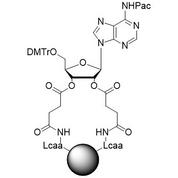 rA (Pac) CPG Column