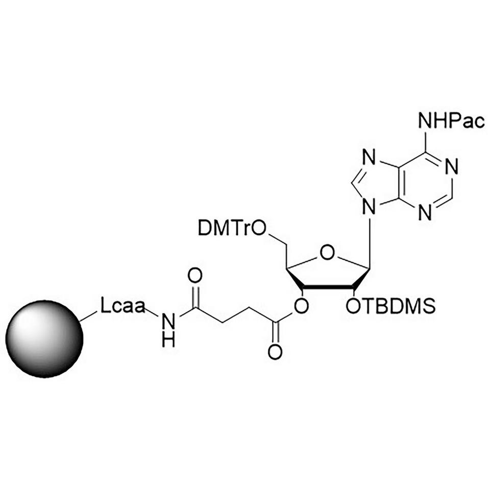 rA (Pac) CPG Column