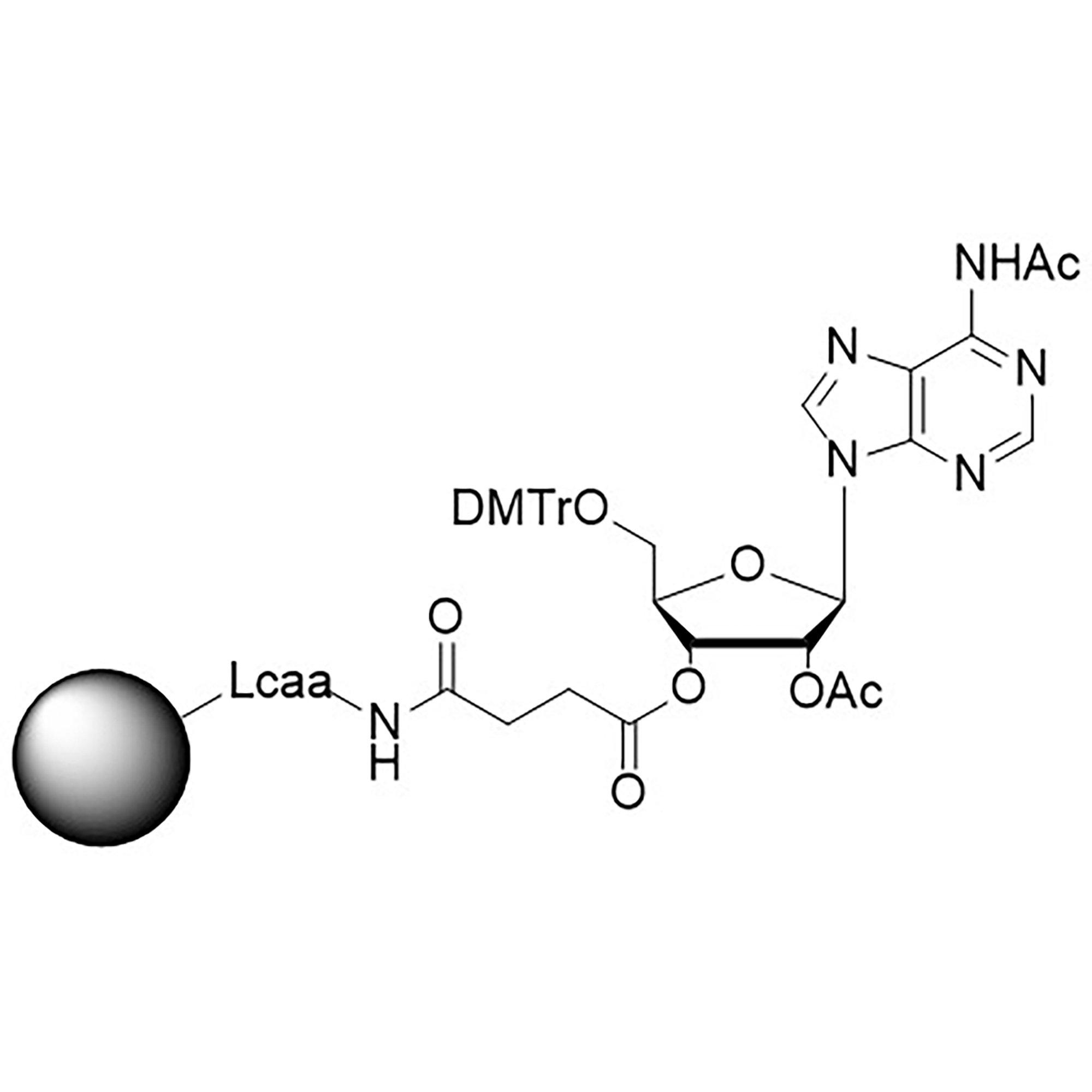 rA (Ac), 2'-OAc CNA CPG