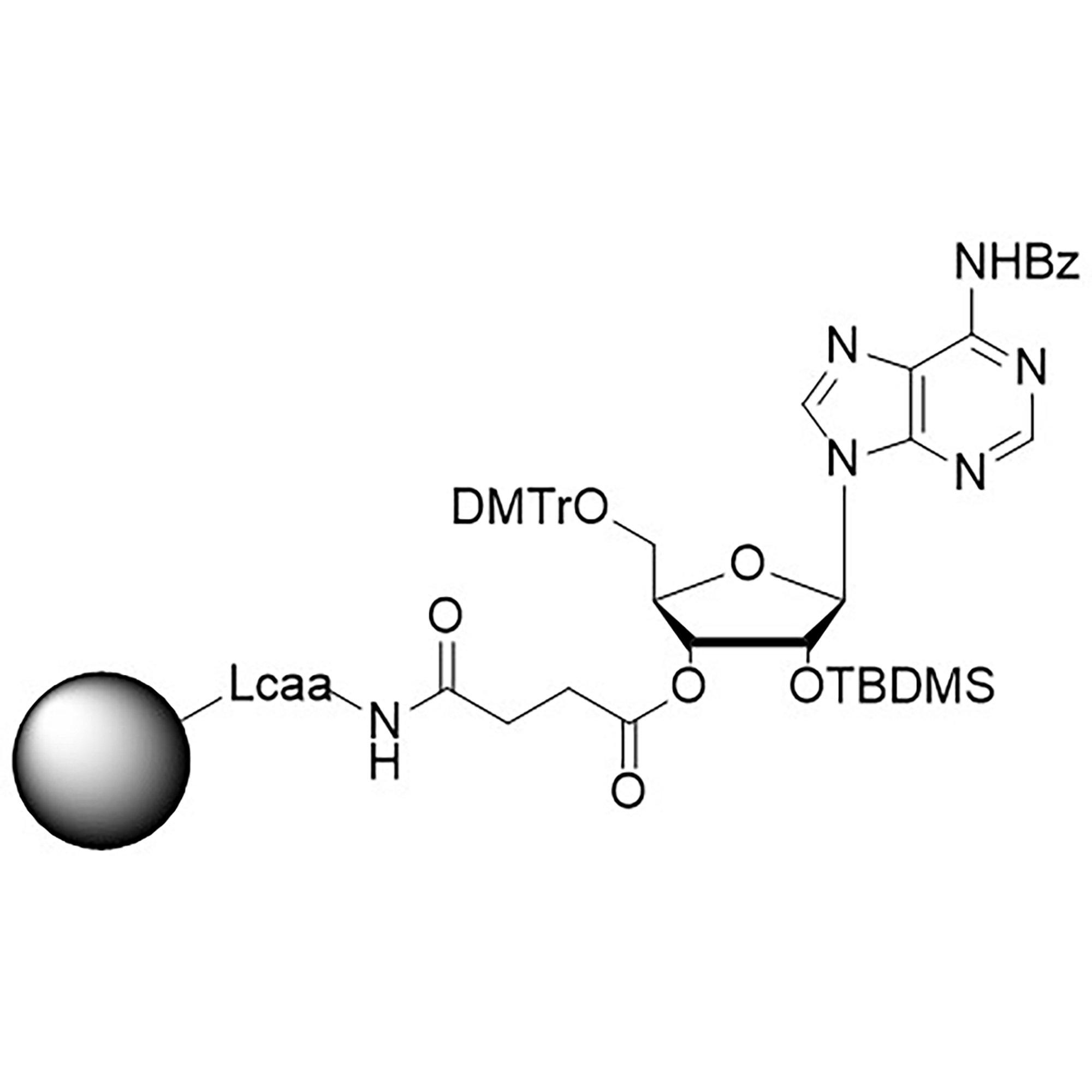 rA (Bz) CNA CPG Column