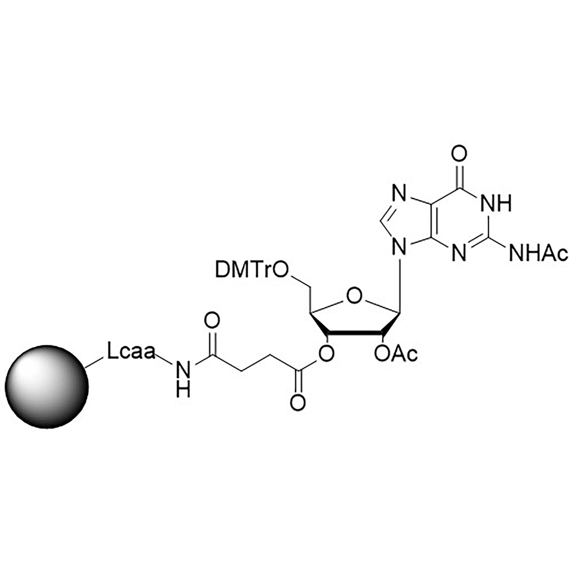 rG (Ac), 2'-OAc CNA CPG, 1000 Å, 25-40 µmol/g, BULK (g)