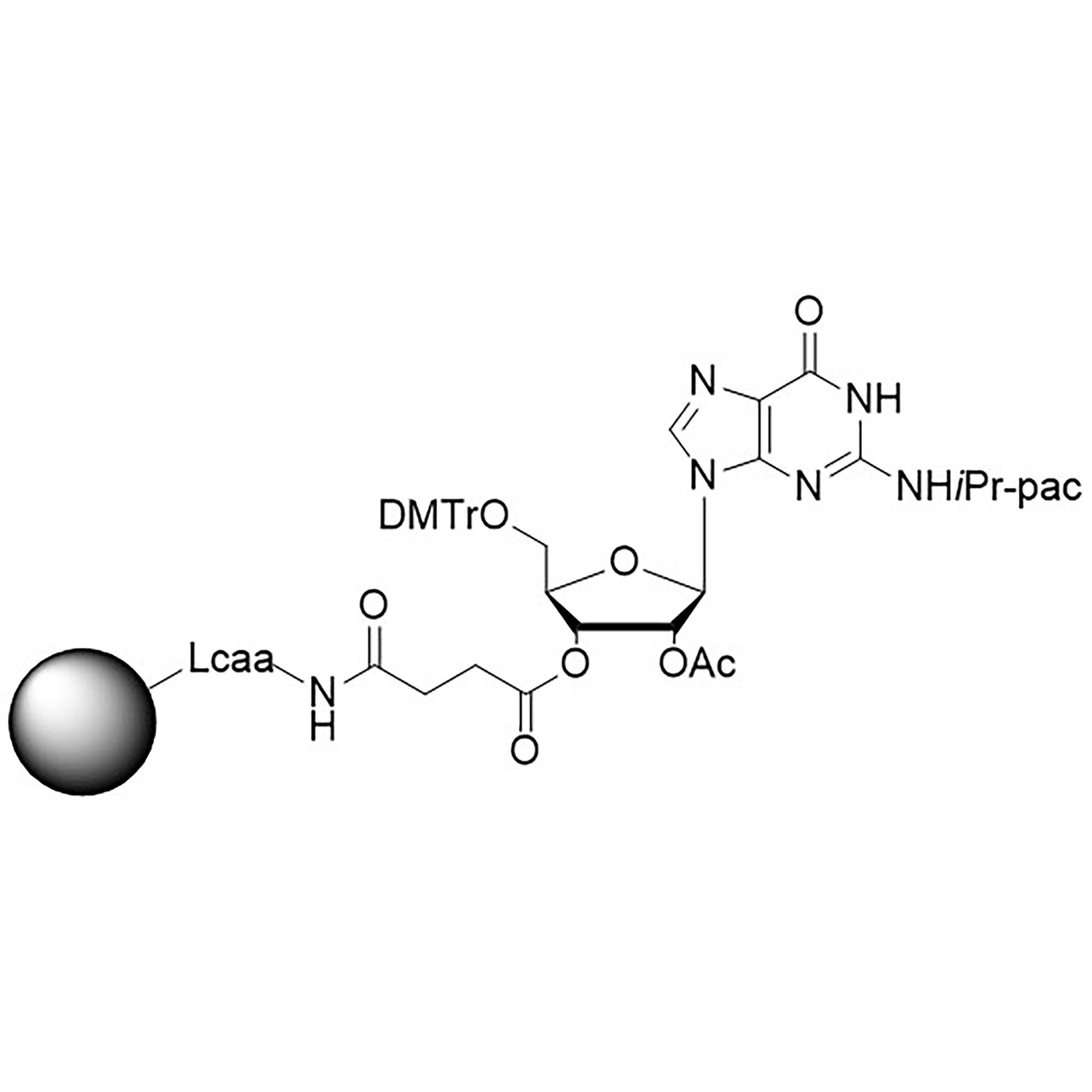 rG (iPr-Pac), 2'-OAc CNA CPG