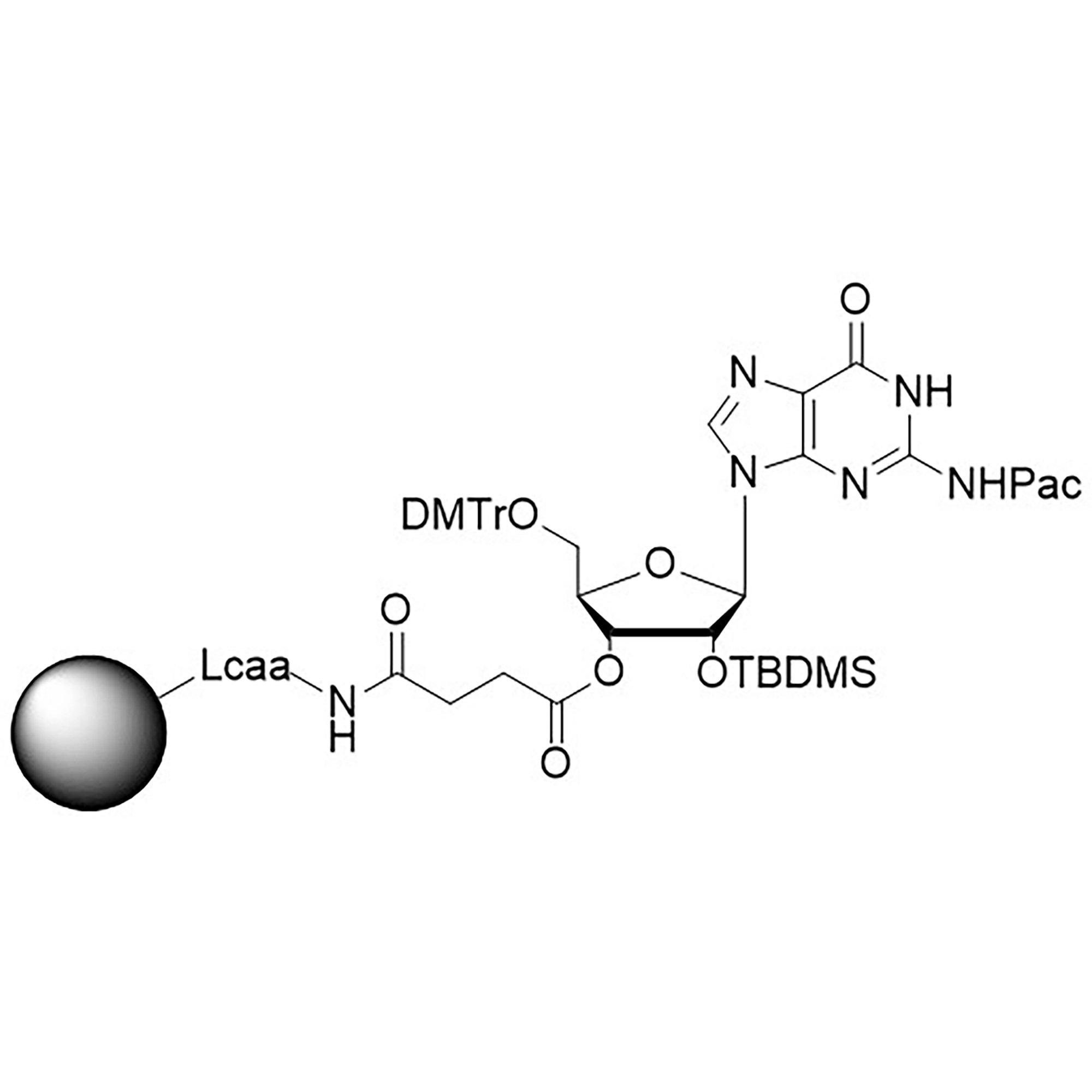 rG (Pac) CNA CPG Column, 1000 Å, 1 µmol, Hybrid