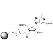 rG (Pac) CNA CPG Column, 1000 Å, 1 µmol, Hybrid