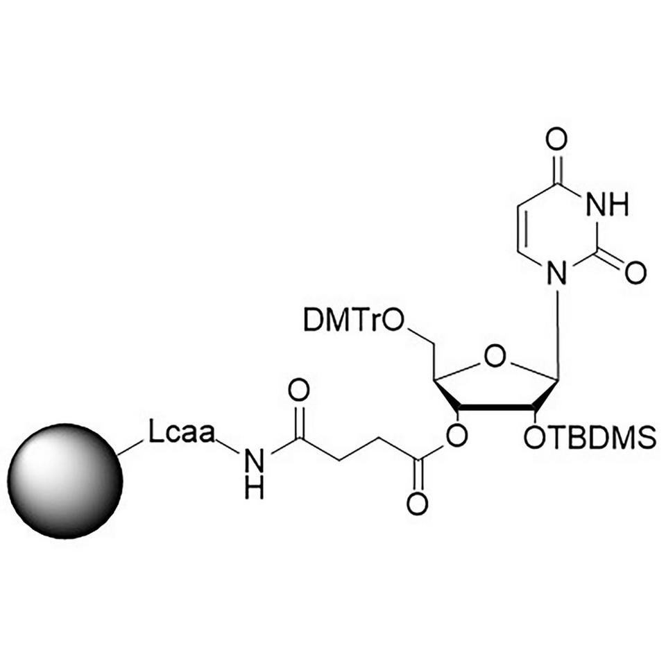 rU AMP (M3) CPG, 500 Å, 80-90 µmol/g, BULK (g)
