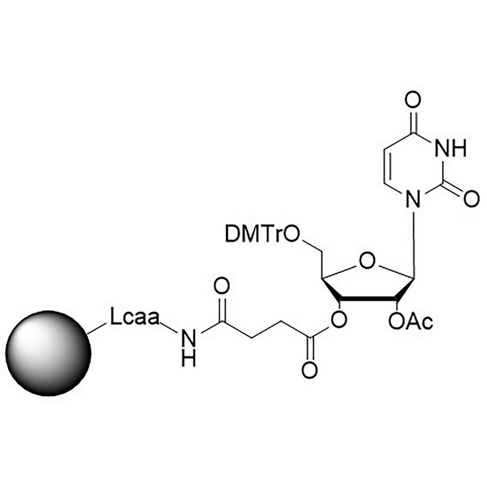 rU, 2'-OAc CNA CPG