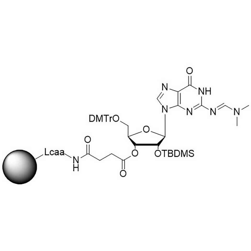 rG (dmf) CNA CPG Alt, 500 Å, 41-59 µmol/g, BULK (g)