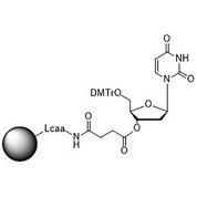 5'-DMT-dU-Suc-CPG (5'-DMT-deoxyUridine CPG) Column