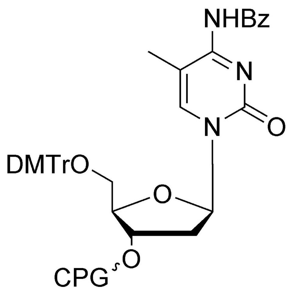 dC (Bz) (5-Me) CPG