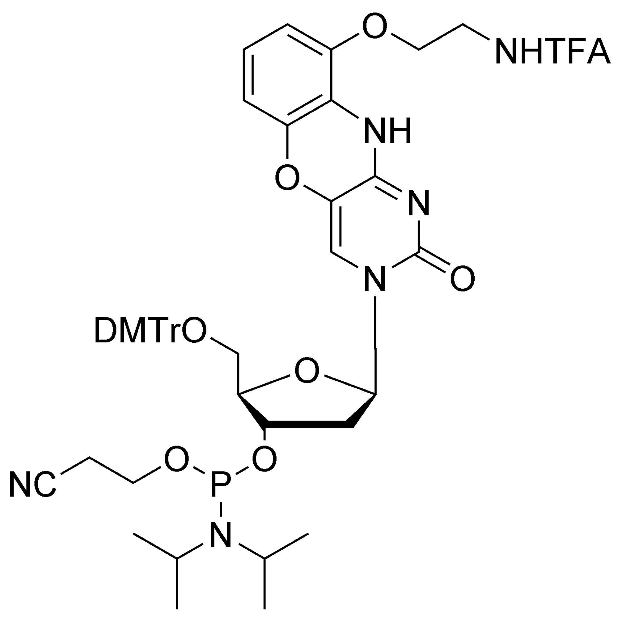 G-Clamp CE-Phosphoramidite