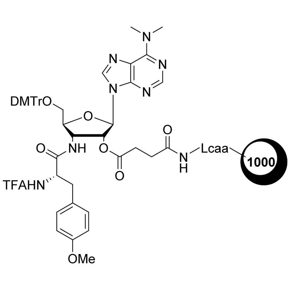 Puromycin CPG