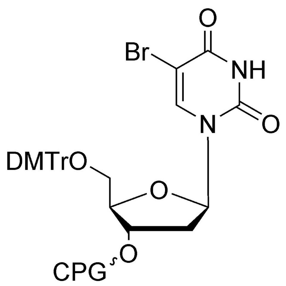 5-Br-dU CPG