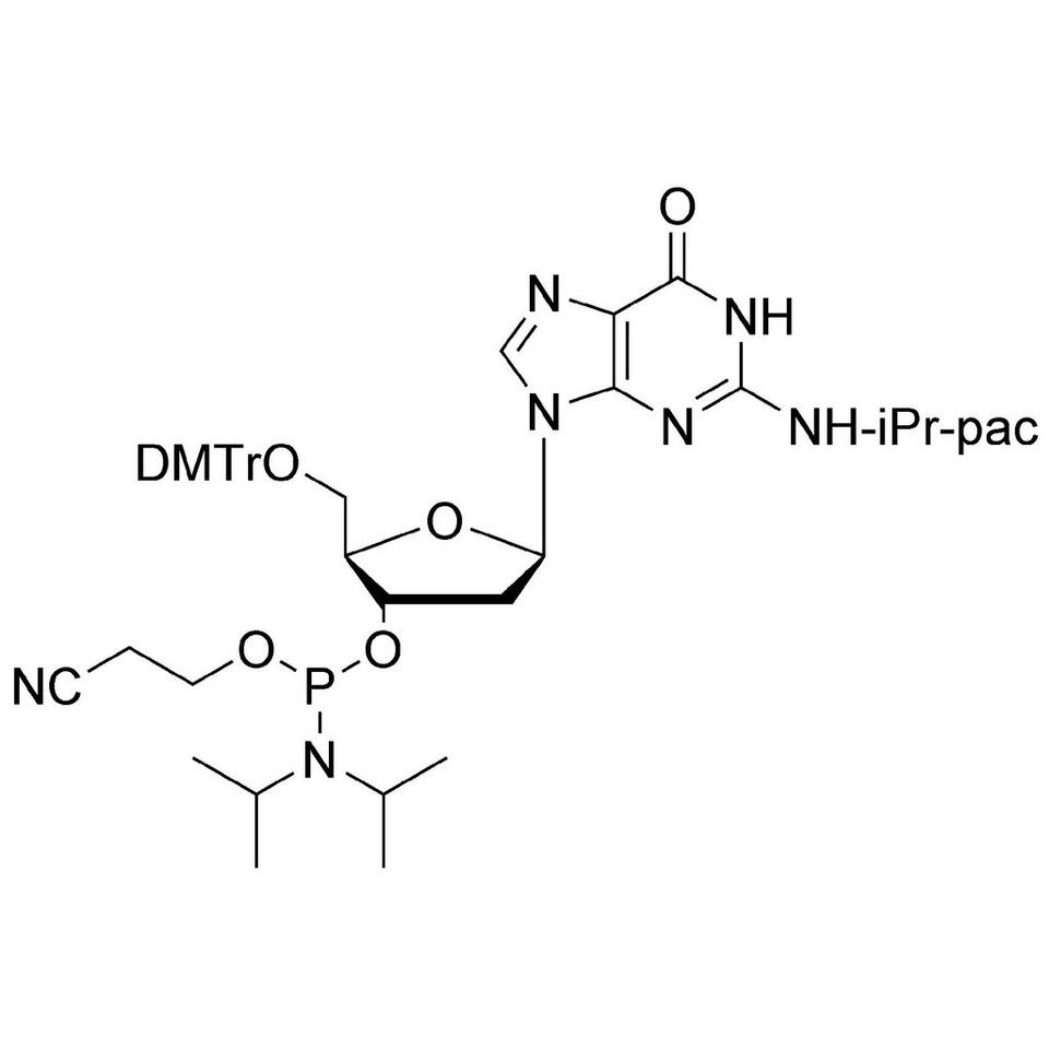 dG (iPr-Pac) CE-Phosphoramidite, 1 g, ABI (15 mL / 20 mm Septum)
