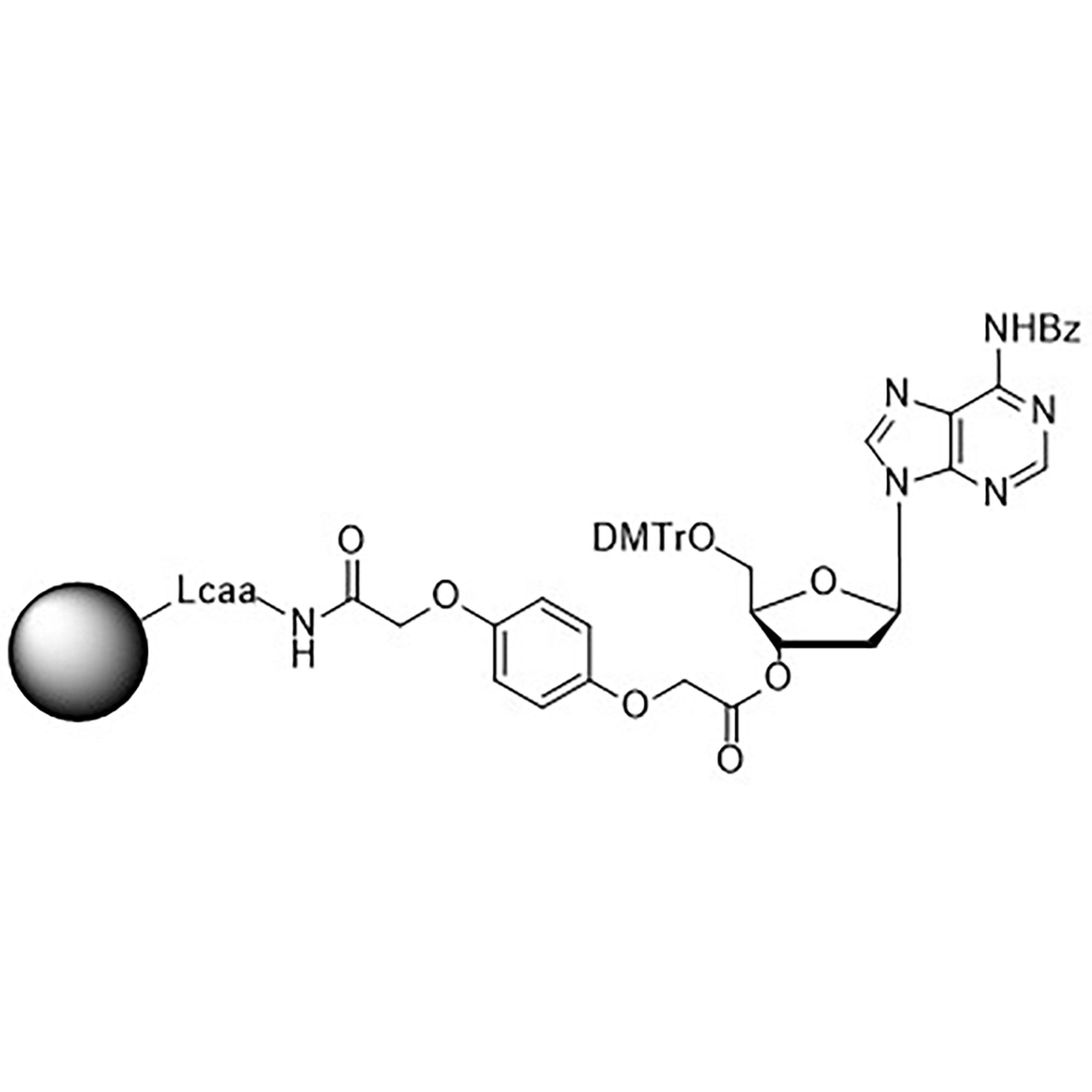 5'-DMT-dA (Bz)-3'-Q Linker CPG Column