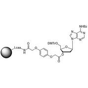 5'-DMT-dA (Bz)-3'-Q Linker CPG Column