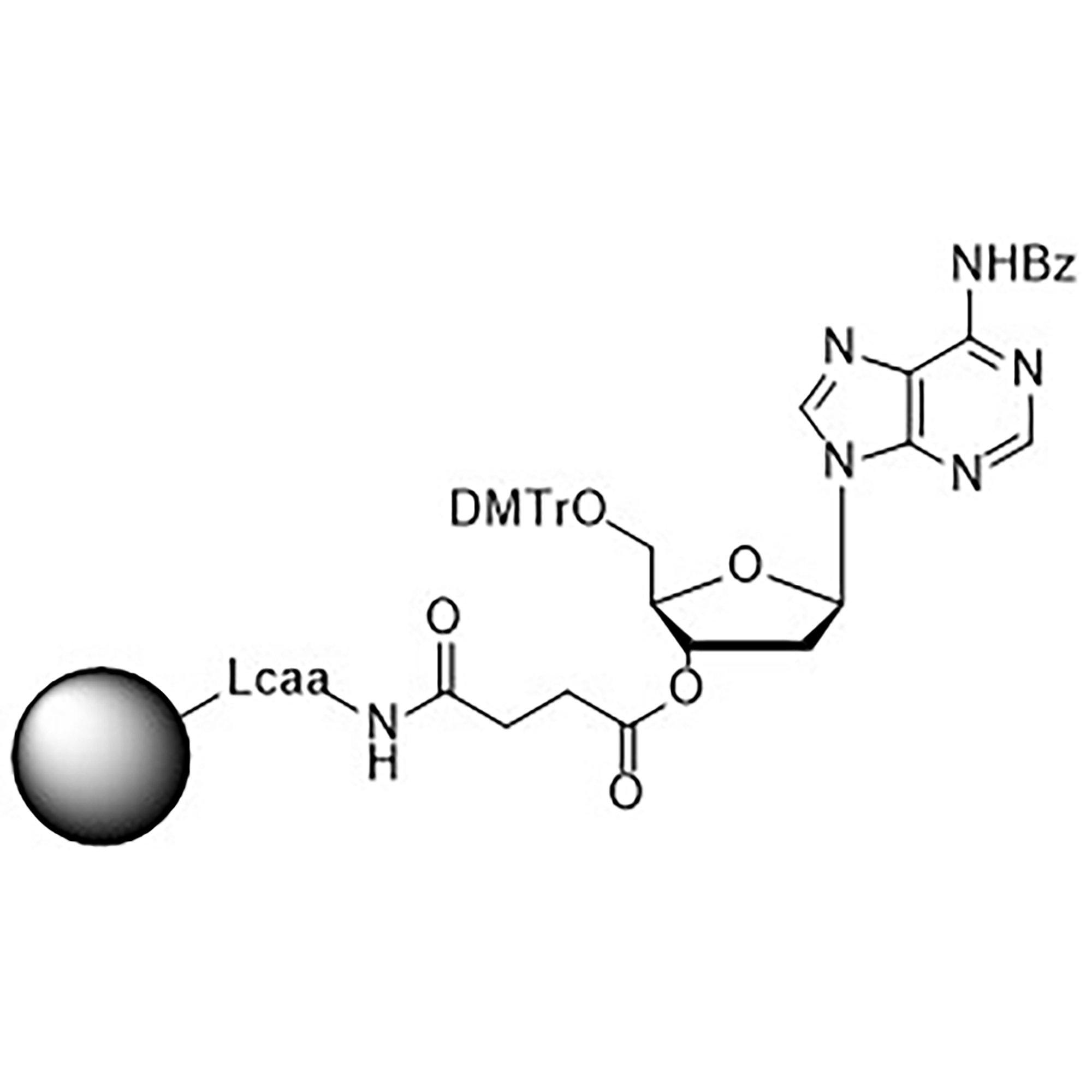 5'-DMT-dA (Bz)-Suc-CPG Column