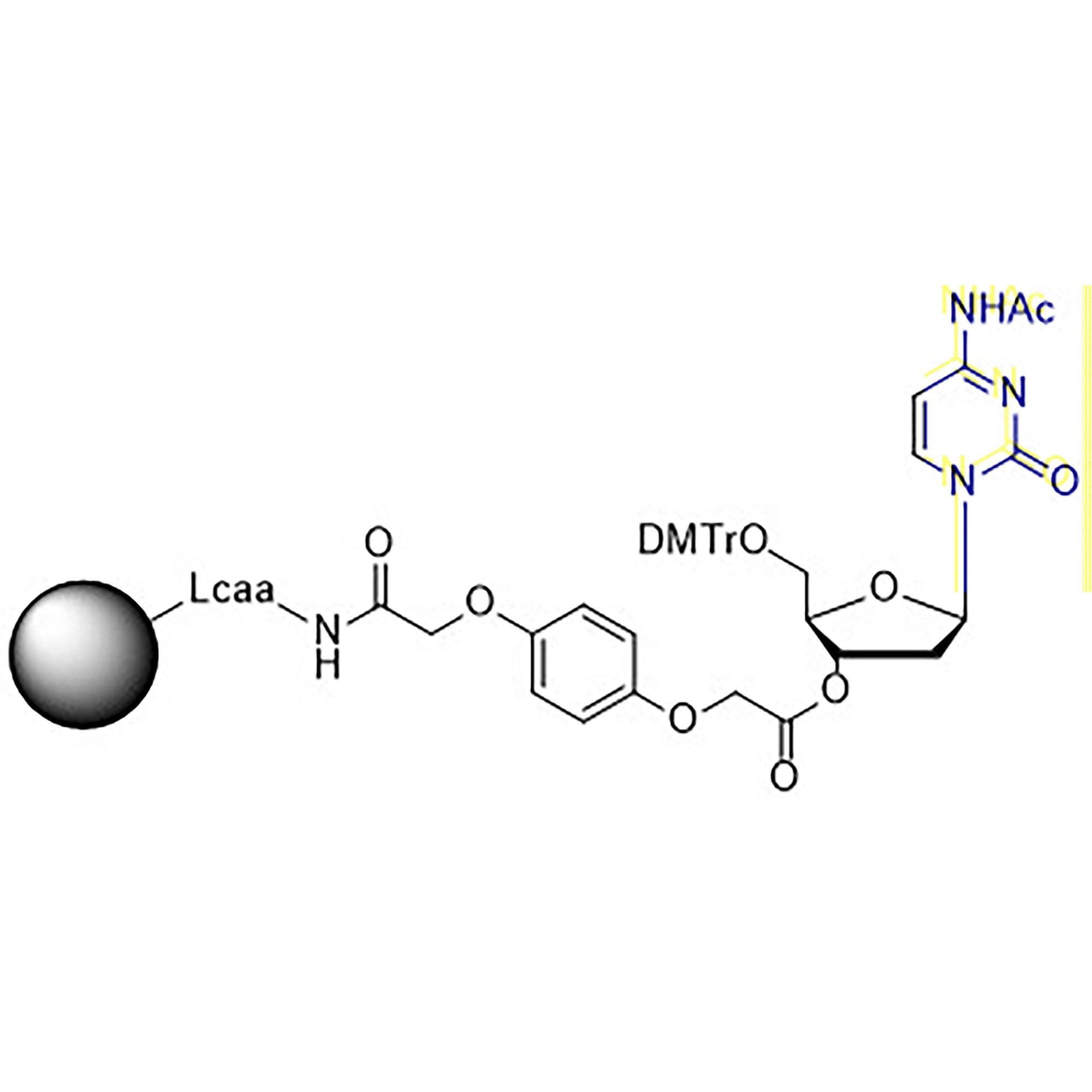 5'-DMT-dC (Ac)-3'-Q Linker CPG Column