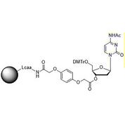5'-DMT-dC (Ac)-3'-Q Linker CPG Column