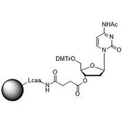 5'-DMT-dC (Ac)-Suc-CPG Column