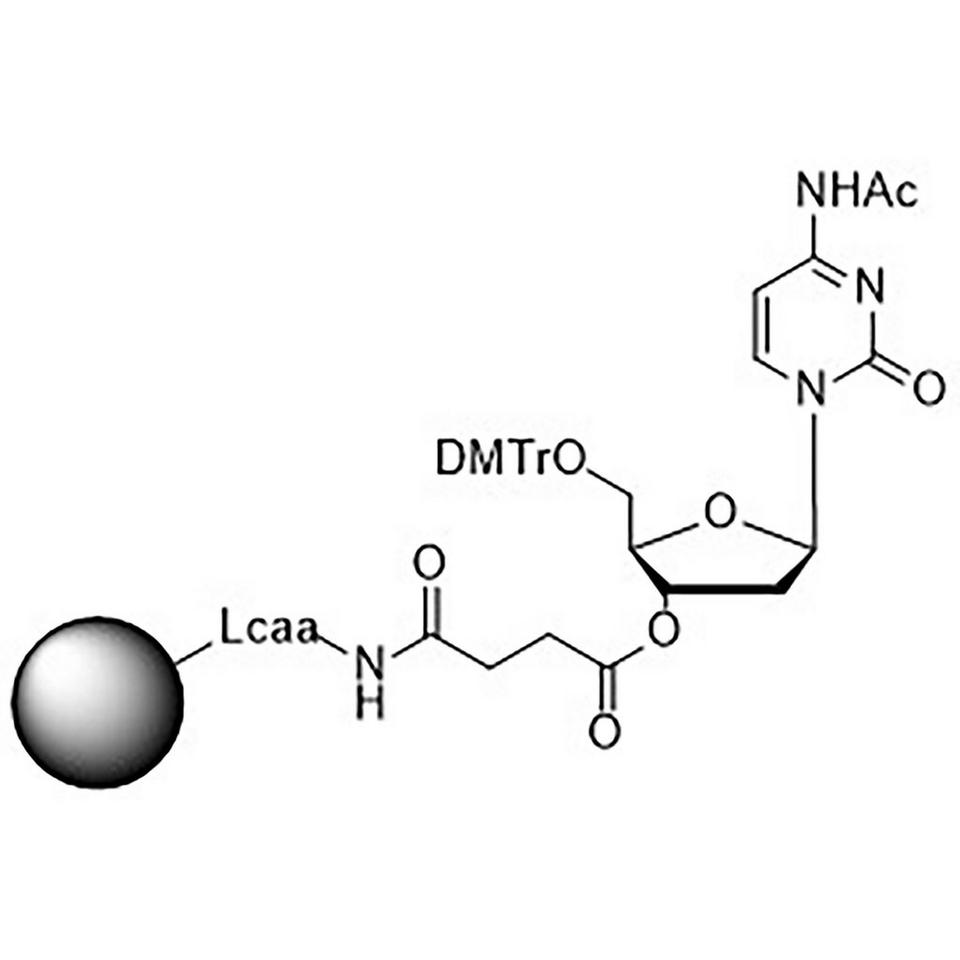 5'-DMT-dC (Ac)-Suc-CPG Column