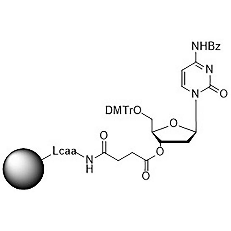 5'-DMT-dC (Bz)-Suc-CPG Column
