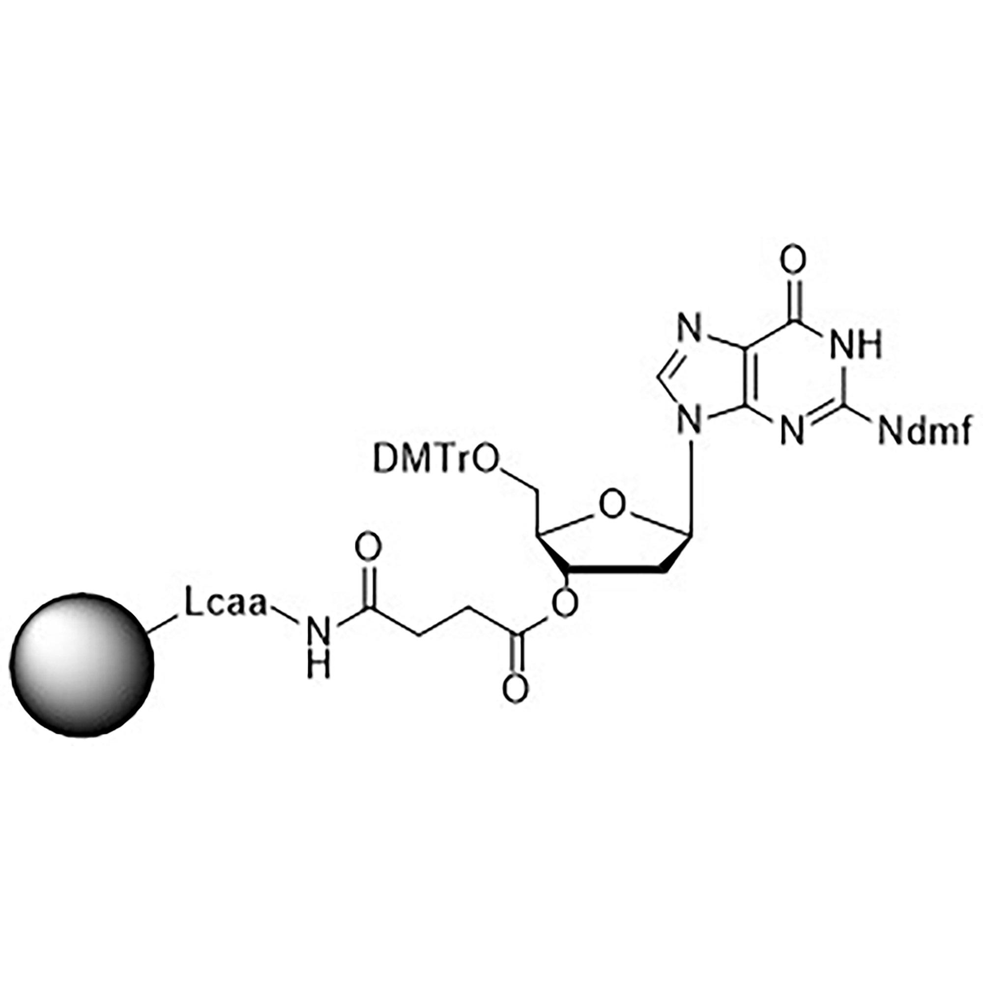 5'-DMT-dG (dmf)-Suc-CPG Column