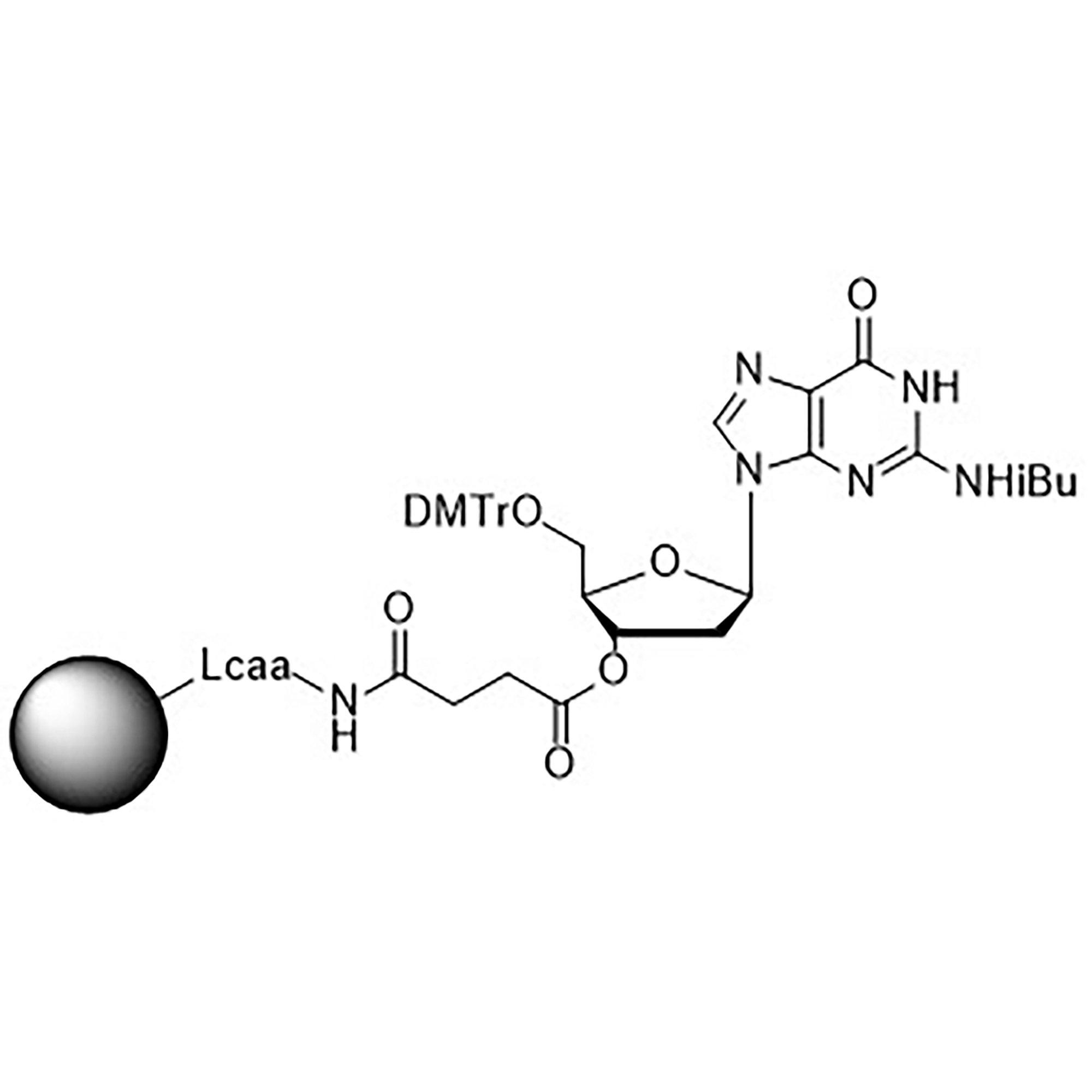 5'-DMT-dG (iBu)-Suc-CPG Column