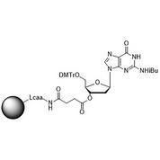 5'-DMT-dG (iBu)-Suc-CPG Column